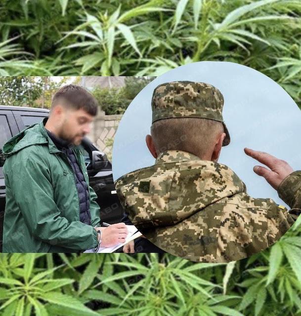 Свежие новости: Шлях від ухилянта наркобарона до тилового військового