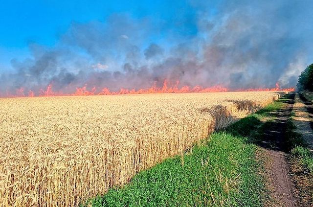Свежие новости: За півроку повномасштабної війни від населення Зеленого Гаю залишилося близько 10%, — місцеві фермери