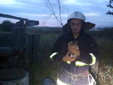 Свежие новости: В Вознесенском районе в десятиметровый колодец упал котенок