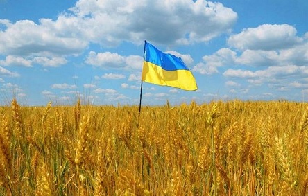 Свежие новости: Мораторий по умолчанию. Что будет, если закон о продаже земли не примут до нового года