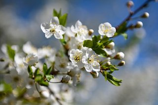 Свежие новости: Вихідні в Україні будуть холодними – наближається морозне повітря з Арктики