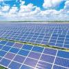 Свежие новости: Турецький інвестор розглядає можливість будівництва на Миколаївщині сонячної електростанції