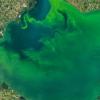 Фото новости: В Одесі вода в морі почала світитися яскраво-блакитним кольором Свежие новости: В Одесі вода в морі почала світитися яскраво-блакитним кольором