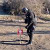 Свіжі новини: На Миколаївщині пастух підірвався на міні