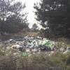 Фото новости: Отдыхающие в Коблево возмущены свалками мусора в некогда красивом сосновом бору Свежие новости: Отдыхающие в Коблево возмущены свалками мусора в некогда красивом сосновом бору
