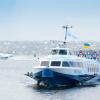 Свіжі новини: «НІБУЛОН» запускає новий прогулянковий рейс вихідного дня до Ковалівського лісу