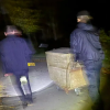 Свіжі новини: У Миколаєві знайшли тигрицю, яка втекла із зоопарку