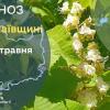 Свежие новости: На Миколаївщині очікуються нічні заморозки — прогноз на три доби