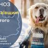 Свежие новости: Синоптики оприлюднили прогноз погоди на 7–9 лютого на Миколаївщині