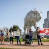 Свіжі новини: В Беларуси начались протесты на фоне инаугурации Лукашенко: что происходит сейчас