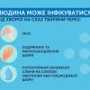 Свежие новости: У Миколаєві епідеміологи попереджають про загрозу сказу