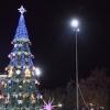 Свіжі новини: В Украине выбирают лучшую елку в стране: николаевская в победителях