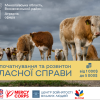 Свежие новости: ВПО та мешканці Вознесенського району можуть отримати до 5000 доларів на розвиток власної справи