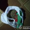 Свежие новости: Полиция изъяла полкилограмма каннабиса у жителя Вознесенского района