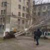 Свежие новости: В Николаеве сняли на видео, как ветер вывернул с корнем огромный тополь