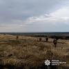 Свіжі новини: На Вознесенщині зник хлопчик: тривають масштабні пошуки