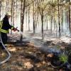 Свіжі новини: В Николаеве три часа тушили пожар в Балабановском лесу