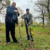 Свіжі новини: У Вознесенську висадили катальпи та бобовники для озеленення парку
