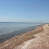 Свежие новости: В Очаковском горсовете изъявили желание забрать территории заповедных зон Кинбурнской косы