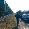Фото новости: В Баштанском районе поезд сбил насмерть 80-летнего мужчину Свежие новости: В Баштанском районе поезд сбил насмерть 80-летнего мужчину