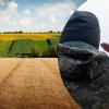 Свіжі новини: Миколаїв призупиняє розгляд заяв військових на безоплатну землю