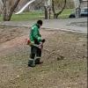 Свіжі новини: У Миколаєві комунальники в листопаді «косять» землю