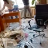 Свіжі новини: Оккупанты обстреляли больницу в Николаеве. Видео