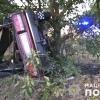 Свіжі новини: ДТП в Коблево: пострадали водитель и трое пассажиров