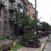 Свежие новости: В Николаеве администрация района снесет аварийных деревьев на 300 тысяч гривен