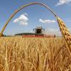 Свежие новости: В Украине ухудшили прогноз на урожай текущего года из-за пандемии и засухи