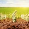 Свіжі новини: Продавать по 100 гривен землю в Николаеве депутаты отказались, но не все