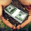 Свіжі новини: Конституционный суд планирует признать незаконной продажу земли в Украине