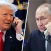 Свіжі новини: Трамп домовився з путіним про дизель із росії : Зеленський різко відреагував