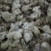 Свіжі новини: 