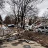 Свежие новости: Негода наробила лиха: рятувальники надають допомогу у розпилюванні та прибиранні повалених дерев