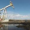 Свіжі новини: США дали «зеленый свет» двум компаниям поставлять нефть из Венесуэлы в Европу