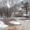 Свіжі новини: Несмотря на снег и мороз, в Николаеве укладывают тротуарную плитку