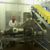Свіжі новини: В Украине продают опасное масло, фальсификат заполнил рынок