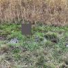 Свіжі новини: В Доманевском районе спасатели достали из камыша возле реки тело мужчины
