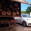 Свіжі новини: В Вознесенском районе полиция задержала ЗИЛ с распиленными дубами, на которые не было документов
