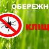 Свежие новости: Обережно кліщі!