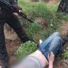 Свіжі новини: Житель Николаевщины расстрелял человека