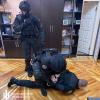 Свіжі новини: На Харьковщине начальник районного управления полиции требовал ₴40 тысяч за «крышевание» вырубок лесов