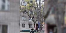 Фото новости: Спасатели сняли с дерева беременную женщину Свежие новости: Спасатели сняли с дерева беременную женщину