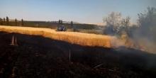 Свежие новости: На Николаевщине четвертый раз за неделю на полях горела пшеница
