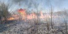 Свежие новости: Под Ужгородом горело 35 гектаров леса