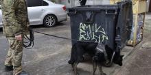 Свежие новости: У Миколаєві поліцейські розшукують матір немовляти, яке знайшли у сміттєвому контейнері