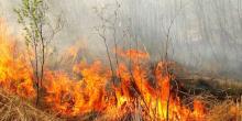 Свежие новости: В Украине предупредили о чрезвычайном уровне пожарной опасности