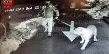 Фото новости: В Киеве в элитном ЖК собачник убил автомобилиста Свежие новости: В Киеве в элитном ЖК собачник убил автомобилиста
