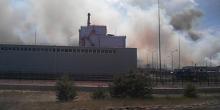 Свежие новости: На территории Чернобыля горит лес - уже сбросили около 70 тонн воды